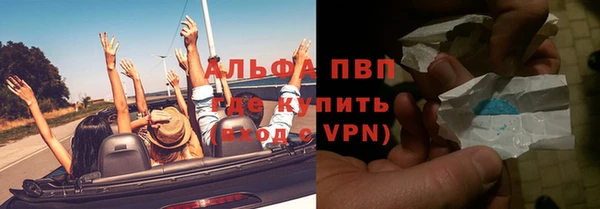 прущие грибы Алзамай