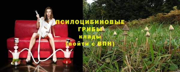 прущие грибы Алзамай