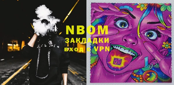 прущие грибы Алзамай